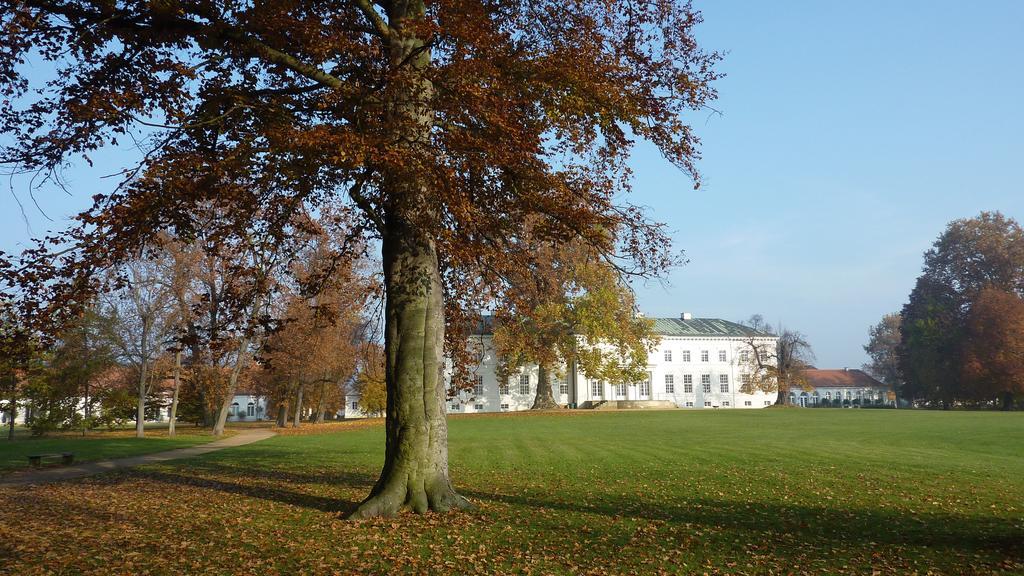 Hotel Schloss Neuhardenberg Exterior photo